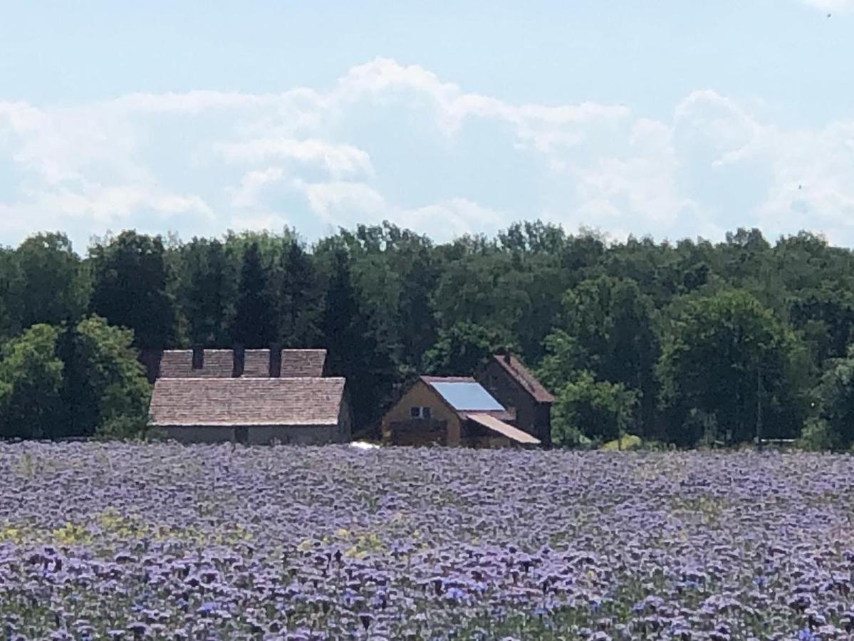 Ferienhof Olbasee Kleinsaubernitz Exterior foto